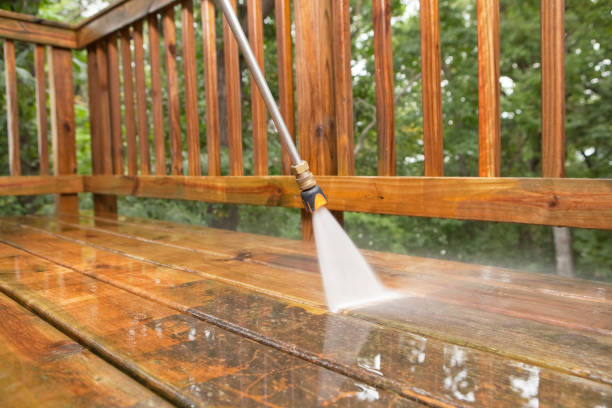 Animal Enclosure Cleaning in Wonder Lake, IL